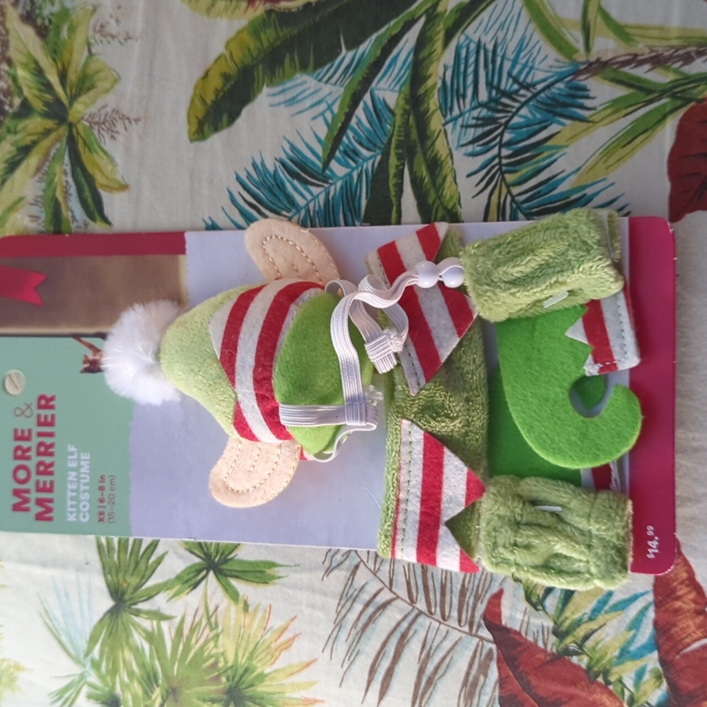 Petco Kitten elf costume XS 6 to 8 in new